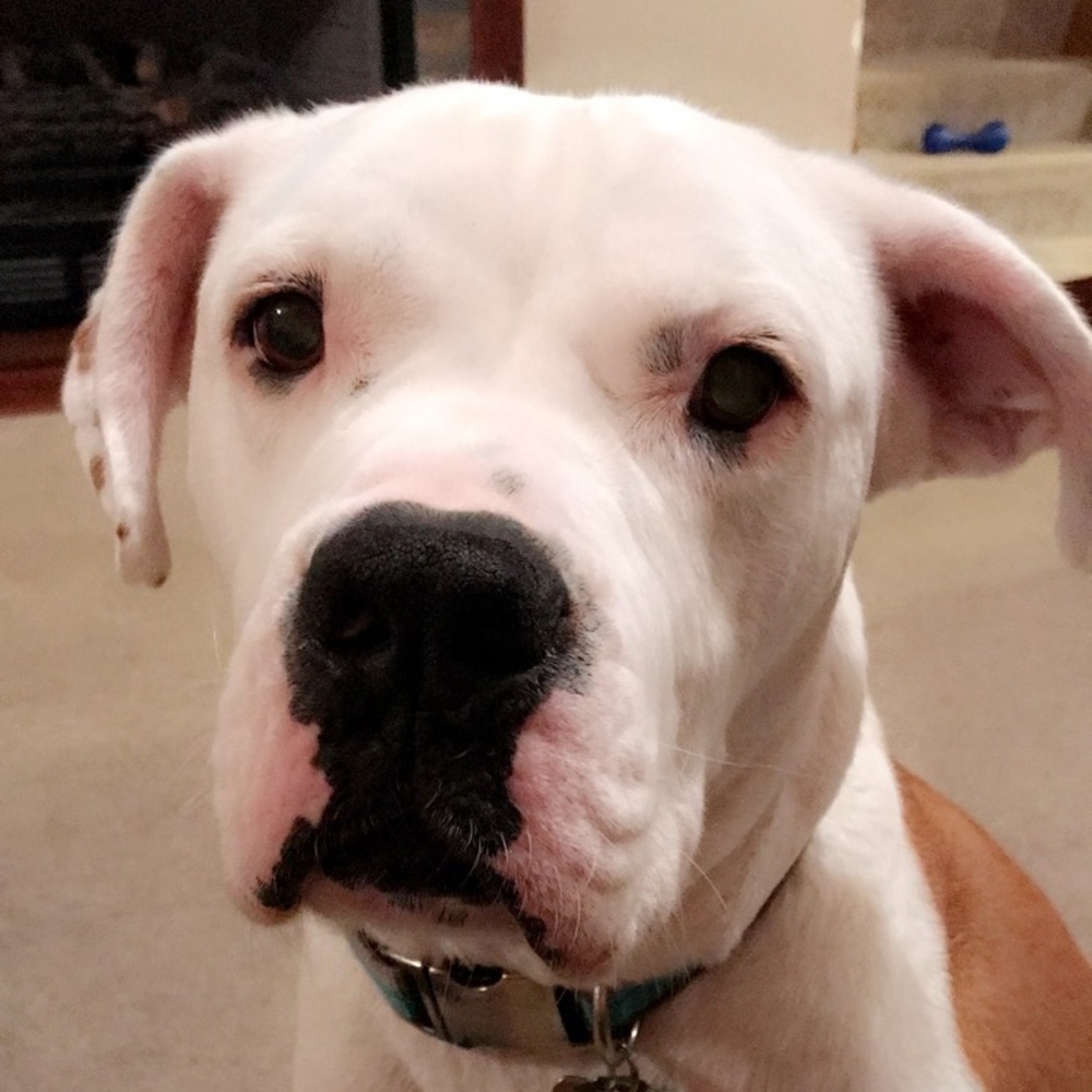 Meet your Posher, Erica